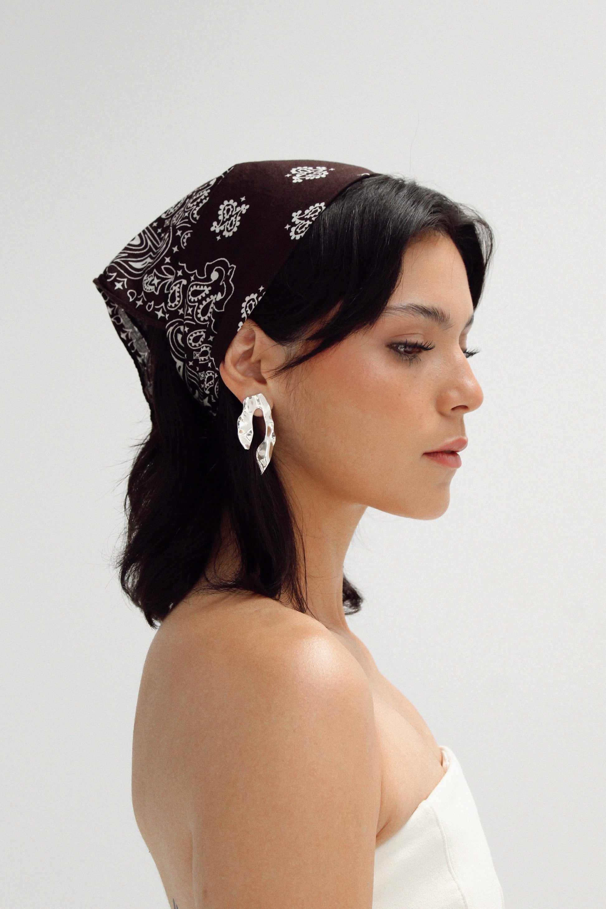 PALOMA Silver Earrings
