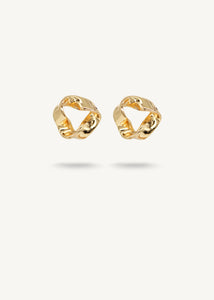 LASSO Gold studs