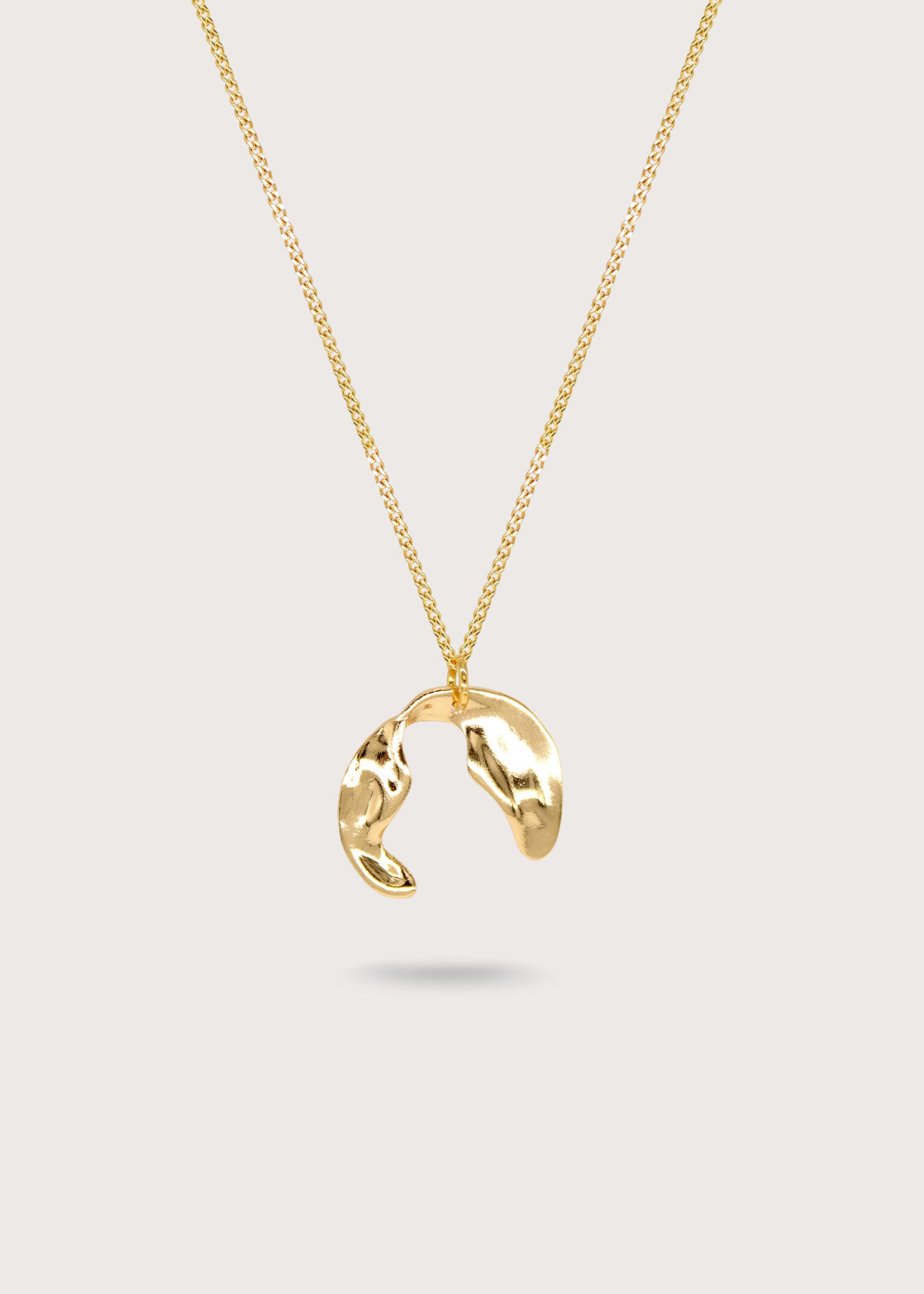 LASSO Gold Necklace